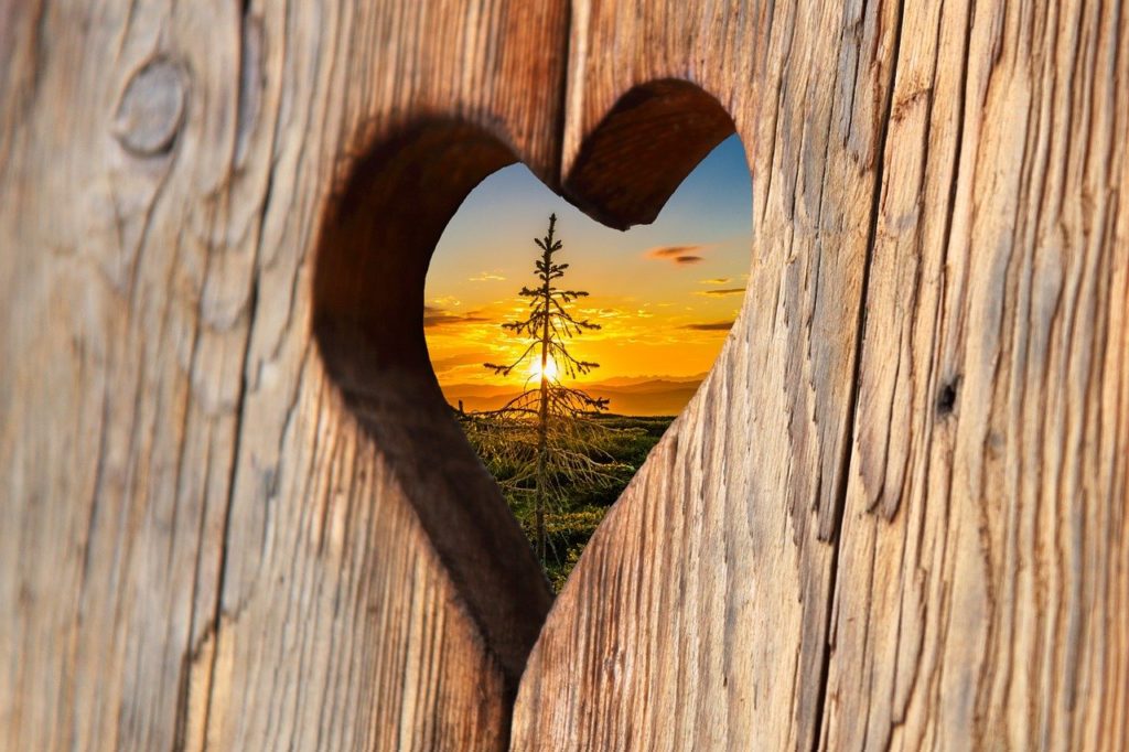 heart, wood, love
